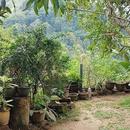 Pasan Guest Acomodação com café da manhã Ella Exterior foto