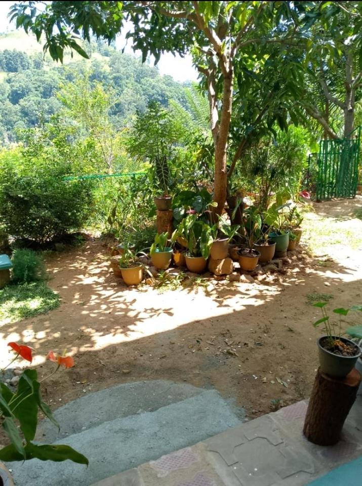 Pasan Guest Acomodação com café da manhã Ella Exterior foto
