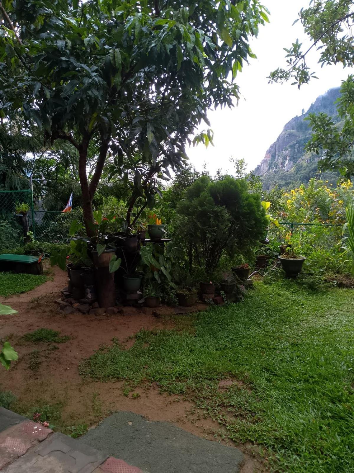 Pasan Guest Acomodação com café da manhã Ella Exterior foto