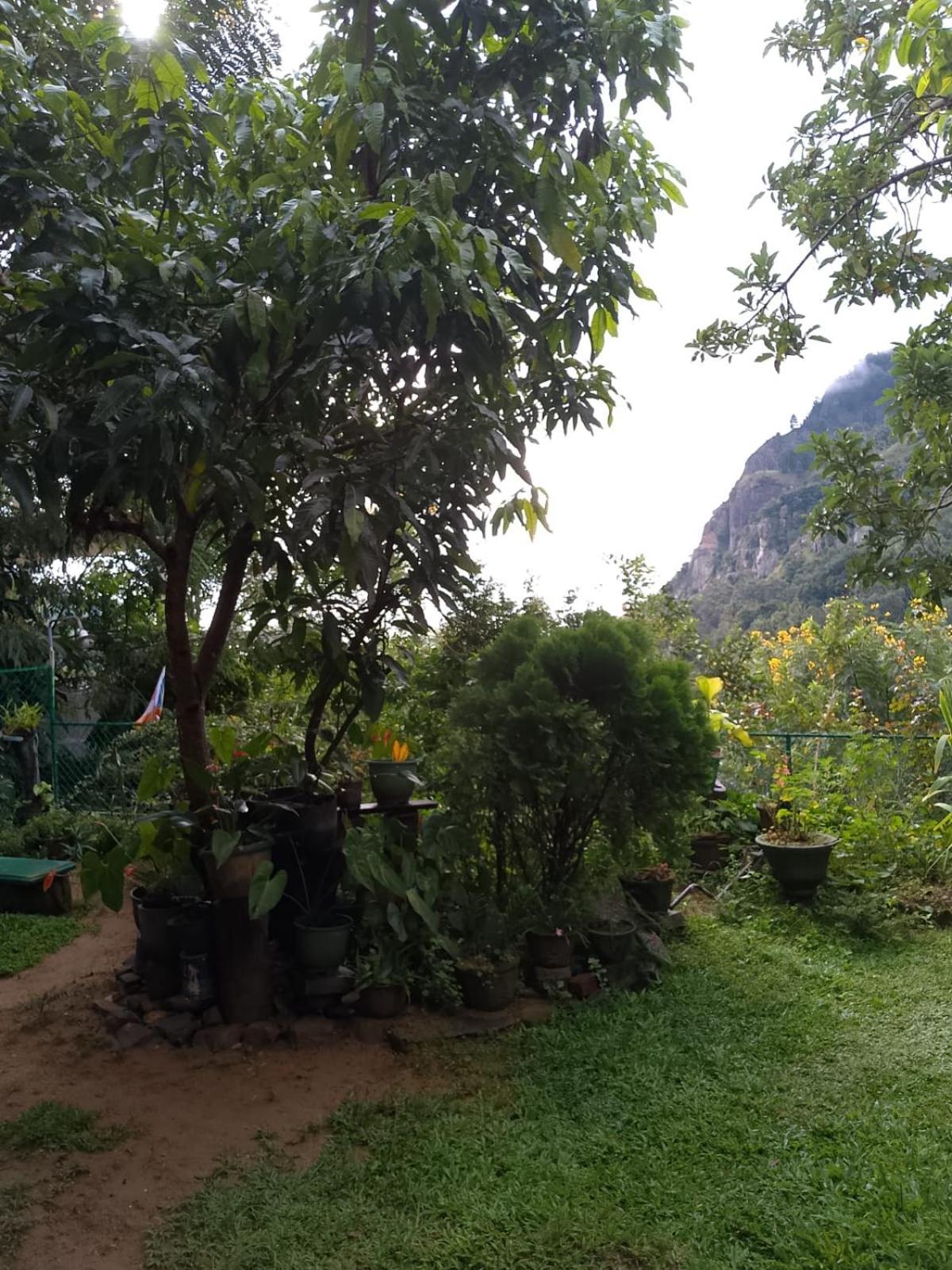 Pasan Guest Acomodação com café da manhã Ella Exterior foto